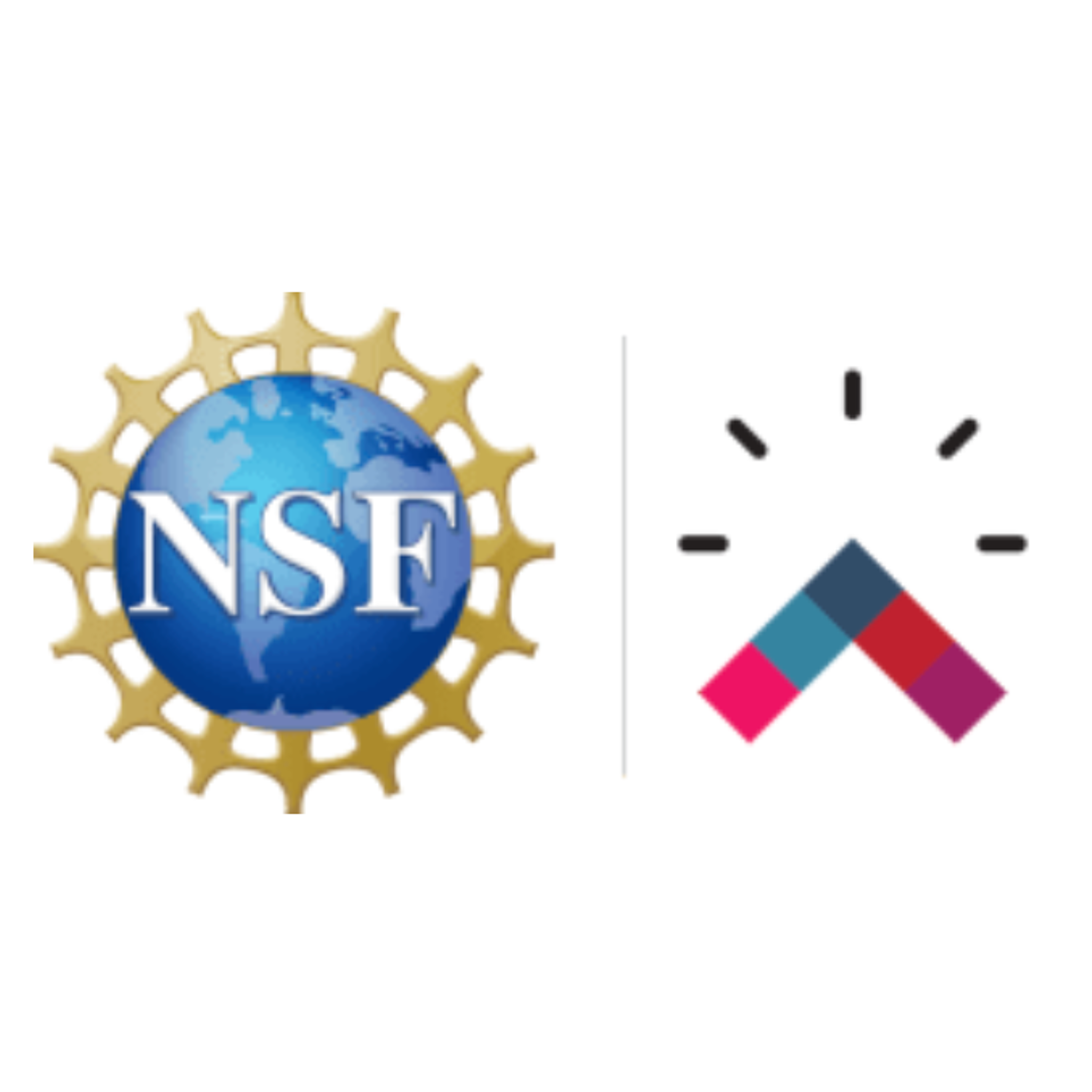 NSF Representative